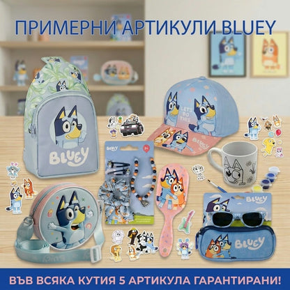 Mystery Box Bluey & Bingo